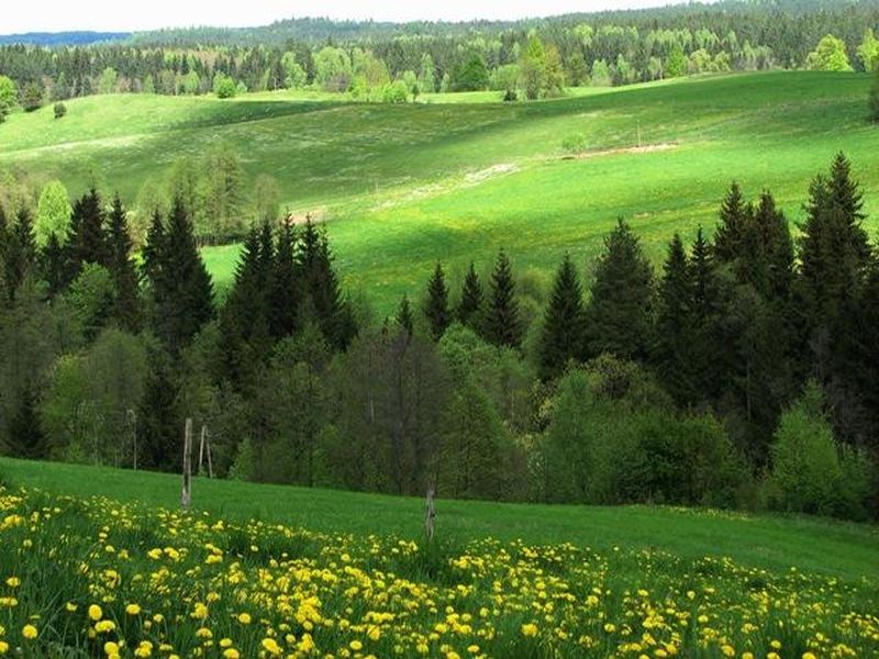 Puszcza Romincka - Fot. Park Krajobrazowy Puszczy Rominckiej