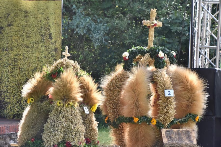 Wieniec dożynkowy - ilustracja do tekstu 