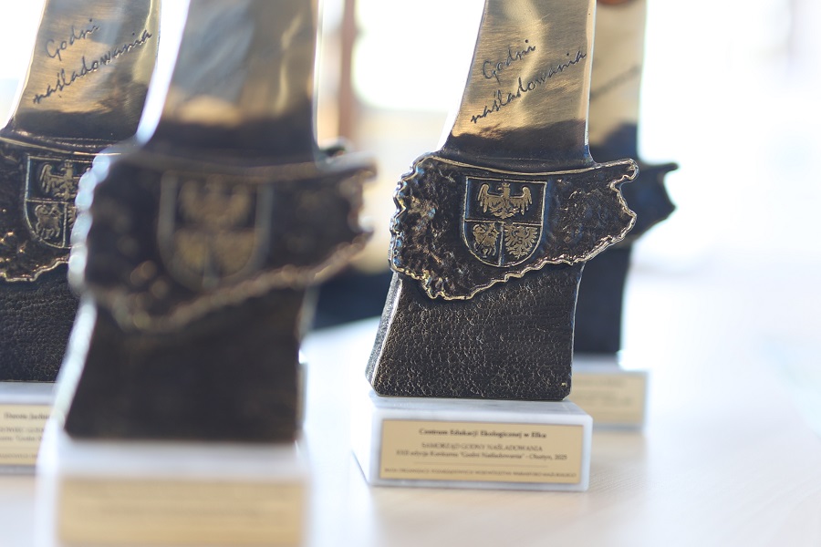 Statuetki Godni Naśladowania 2025