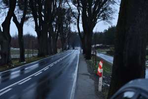 Uroczyste otwarcie drogi wojewódzkiej 538 
