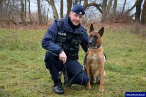 Psy w służbie warmińsko-mazurskiej policji. Fot.wm.policja.gov.pl