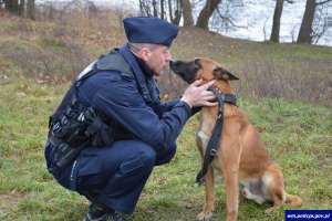 Psy w służbie warmińsko-mazurskiej policji. Fot.wm.policja.gov.pl