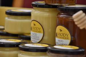 Uroczyste przekazanie certyfikatów 