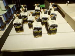 Wizyta studyjna w Chorwacji 